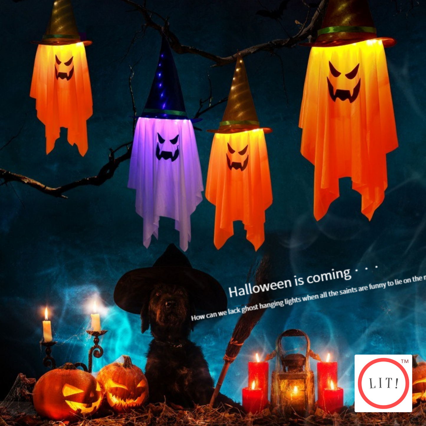 Halloween Spooky Glowing Coloured LED Star Lights Decor