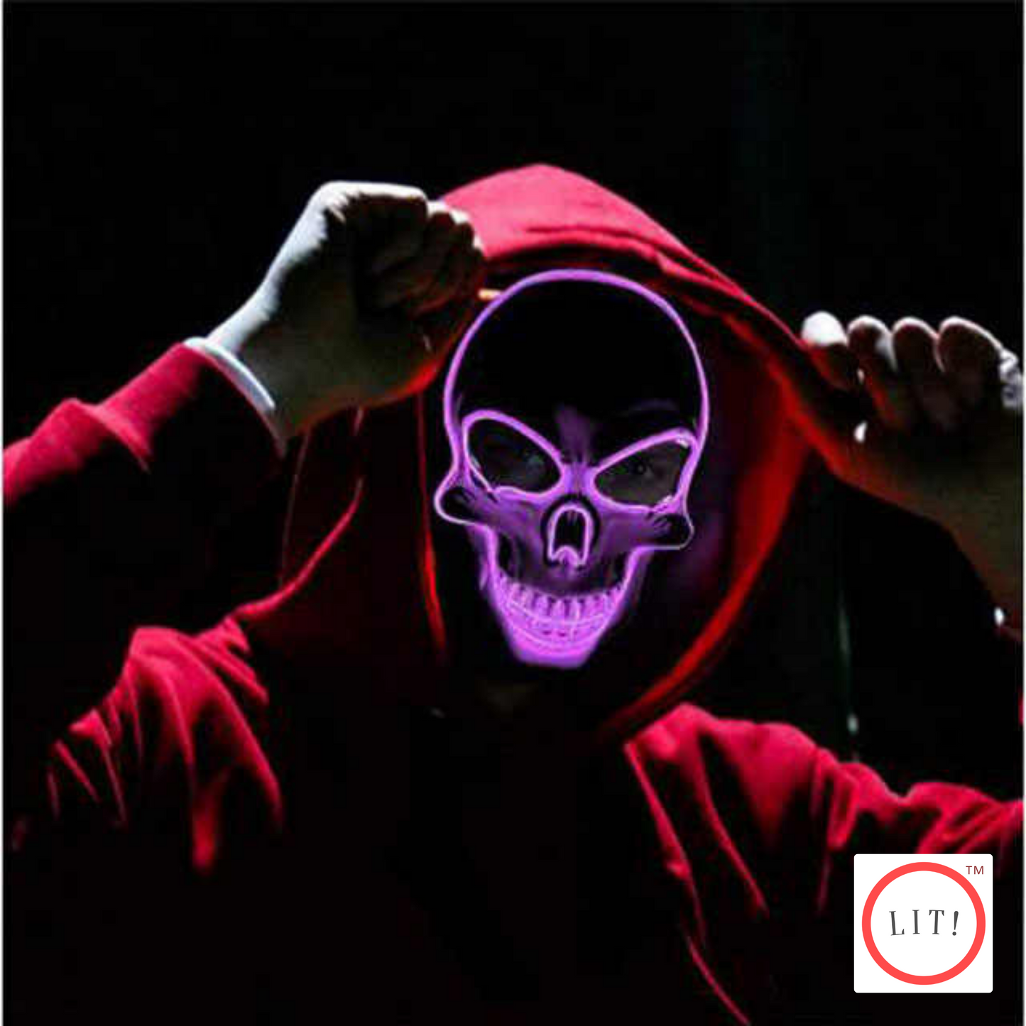 Halloween Eastern Fashion Horror EL Wire Skull Head Rave Mask